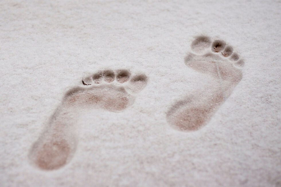 Freezing of Gait, Explained